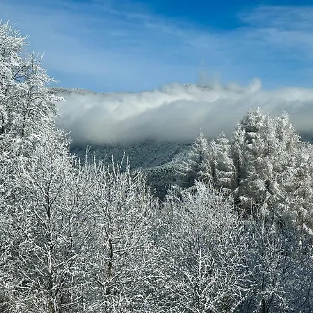 아파트 Tyrolyl - Tirol 인징