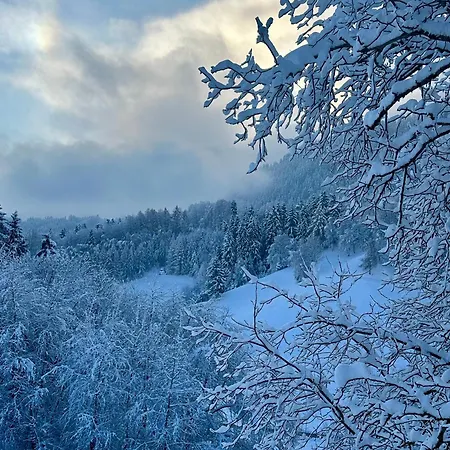 Tyrolyl - Tirol Inzing