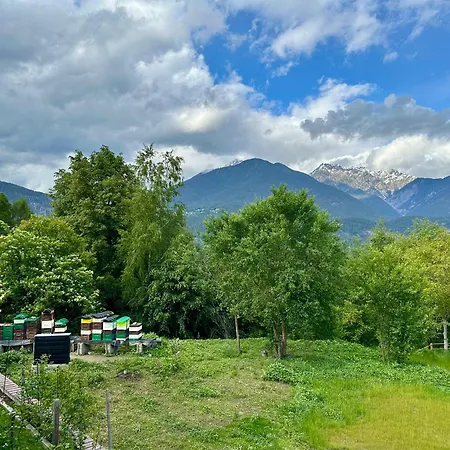 Tyrolyl - Tirol 인징