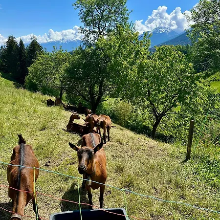 Tyrolyl - Tirol * 인징