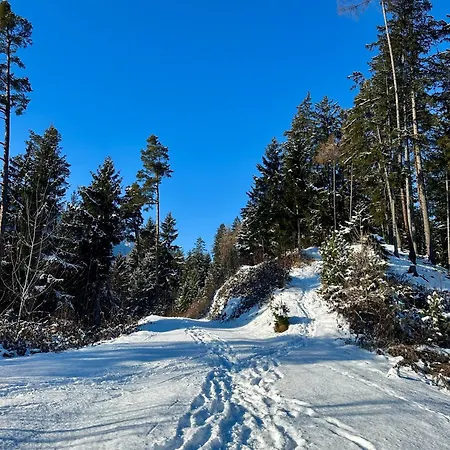 Lägenhet Tyrolyl - Tirol