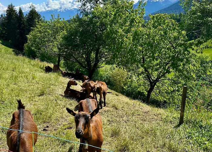 Tyrolyl - Tirol * Inzing