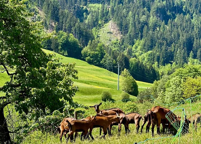 アパート Tyrolyl - Tirol Inzing