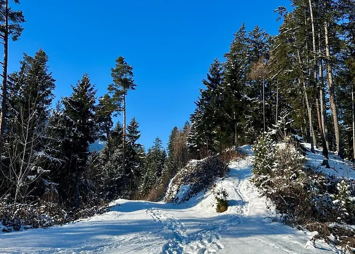 アパート Tyrolyl - Tirol