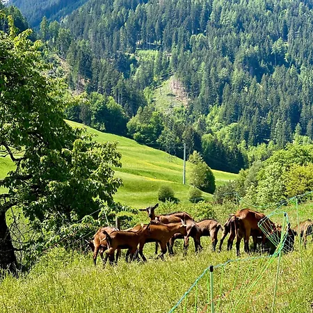 Apartmán Tyrolyl - Tirol Inzing