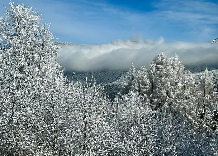 公寓 Tyrolyl - Tirol 因青