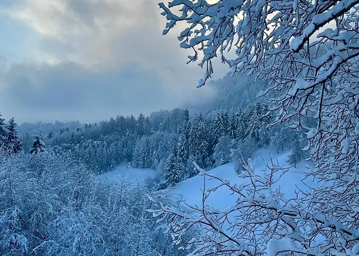 Tyrolyl - Tirol 因青