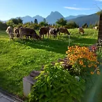 Tyrolyl - Tirol *